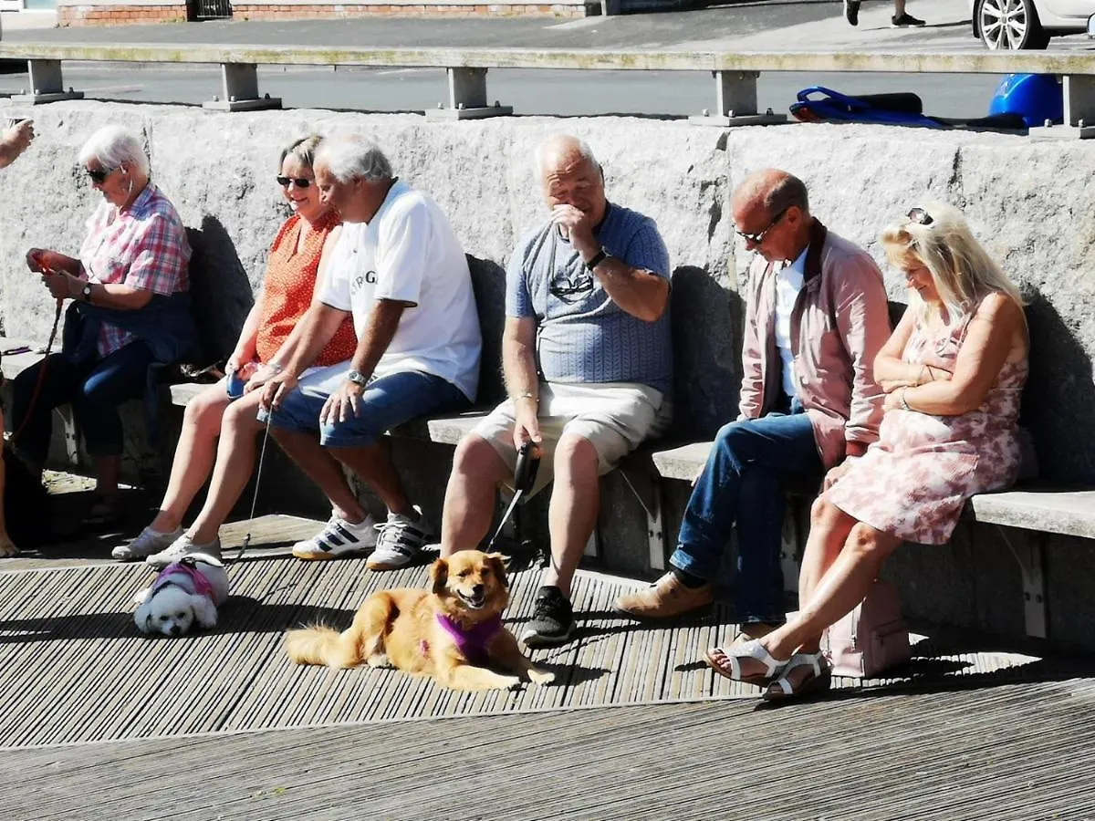 Seashell Cottage - Dog Friendly 1 Bed Cottage Close To The Sea Hornsea Hébergement de vacances